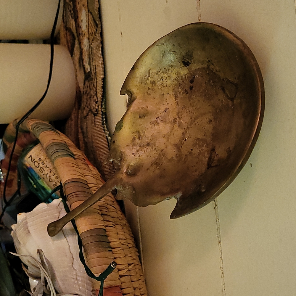 Horseshoe Crab brass figurine